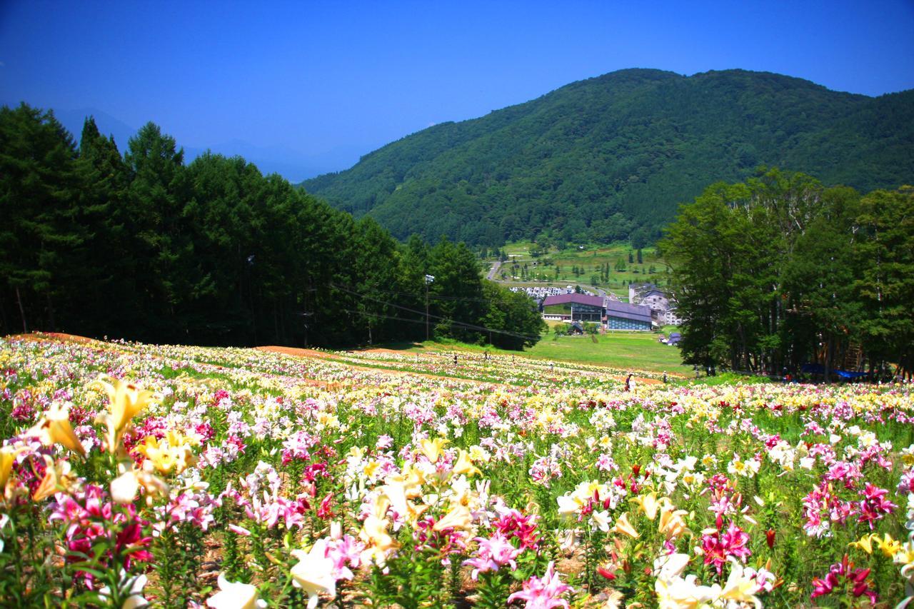 Hotel Harvest Madarao Shinano  Eksteriør billede